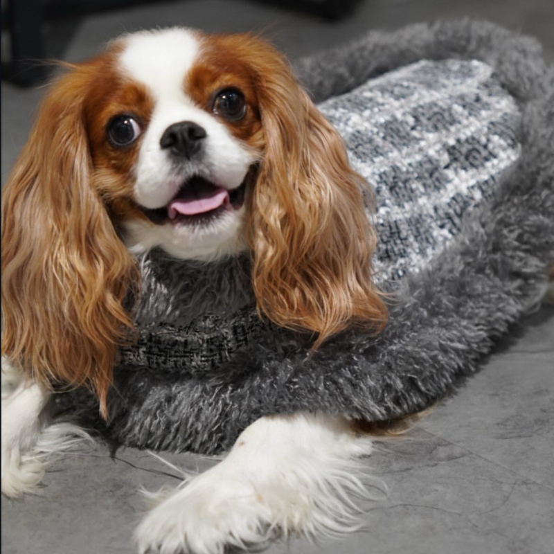Moon River Cape