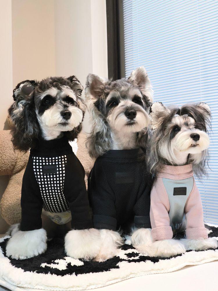 Buy Fashion Pet Sweaters for Dog Dog Warm Sweater Matching BONDIR