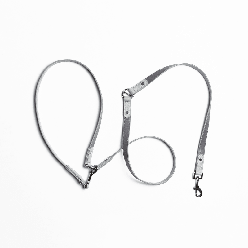 Moonstone Hands-Free Dog Leash