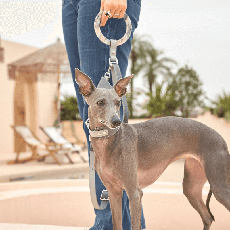 Moonstone Leather Collar - BONDIR