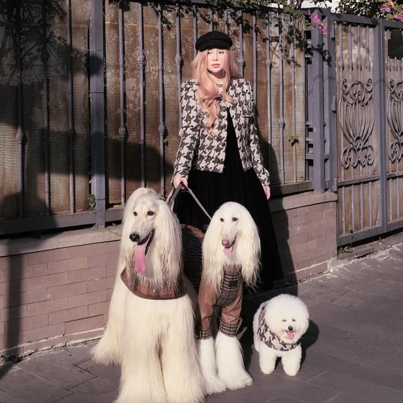 Ashwood Checked Jacket