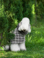 Moon River Coat - BONDIR
