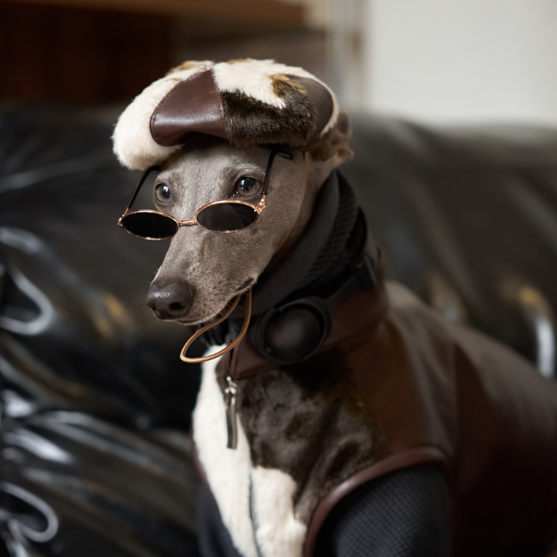 Baxley Dog Beret