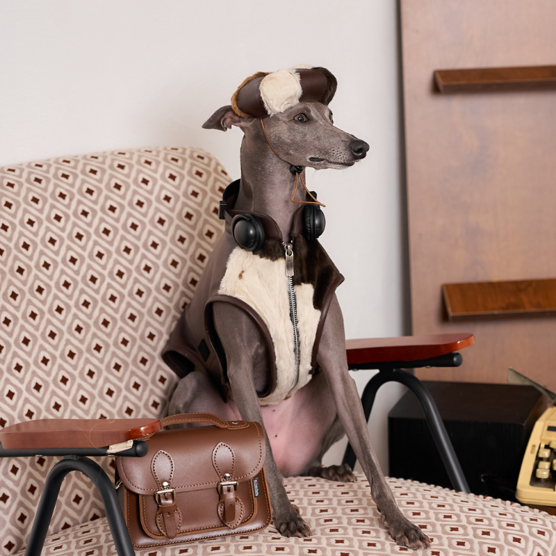 Baxley Dog Beret