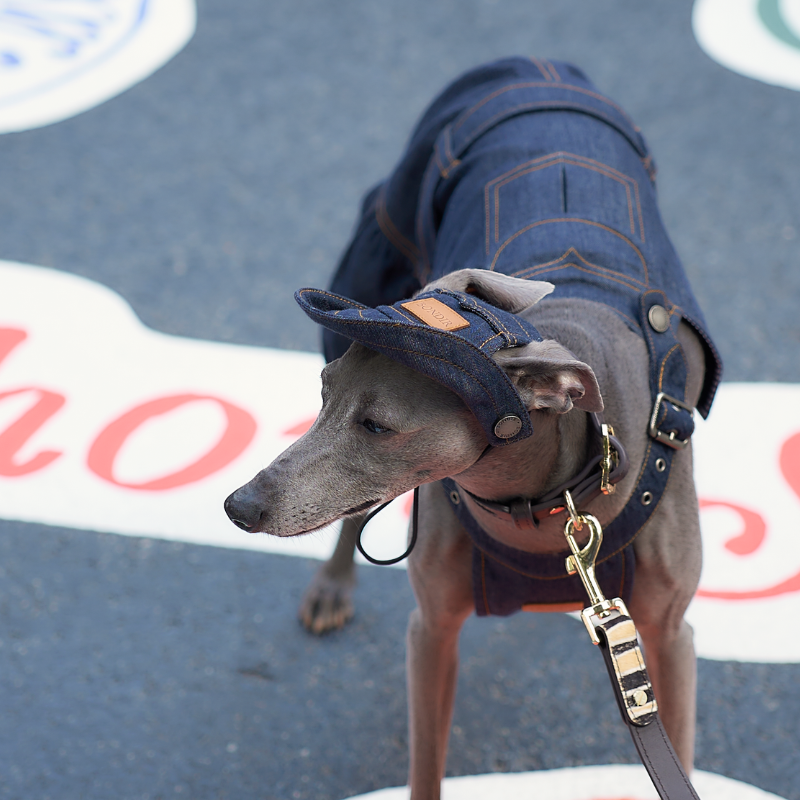 B01 Denim Dog Hat