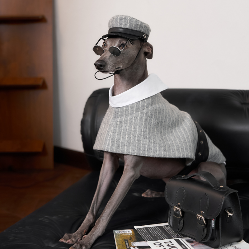 Riverton Wool Dog Hat