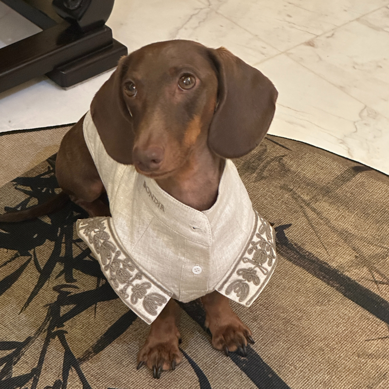 Poesia Embroidered Linen Shirt