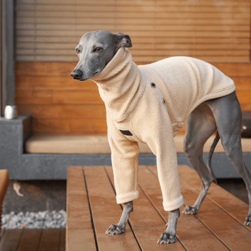 Italian Greyhound Pet Pouch Sweater Shop Luxury Comfort Sweater