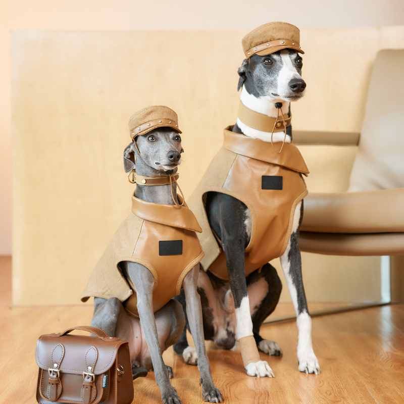 Rivark Denim Dog Hat