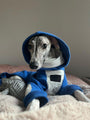 Elecrique Hooded Onesie - BONDIR