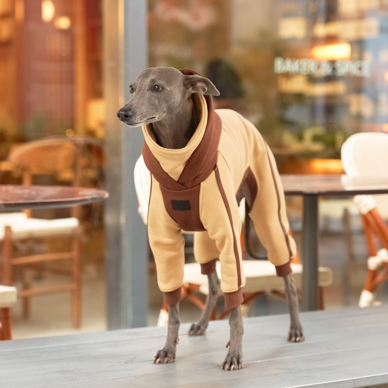 Hazelnut Hooded Onesie