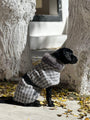 Moon River Coat - BONDIR