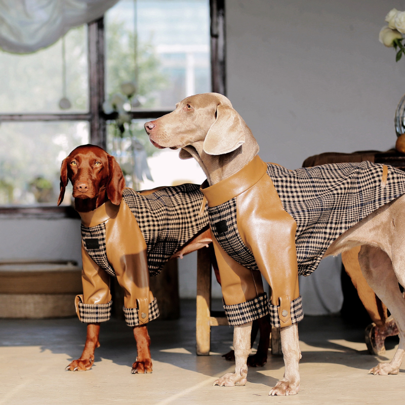 Ashwood Checked Jacket