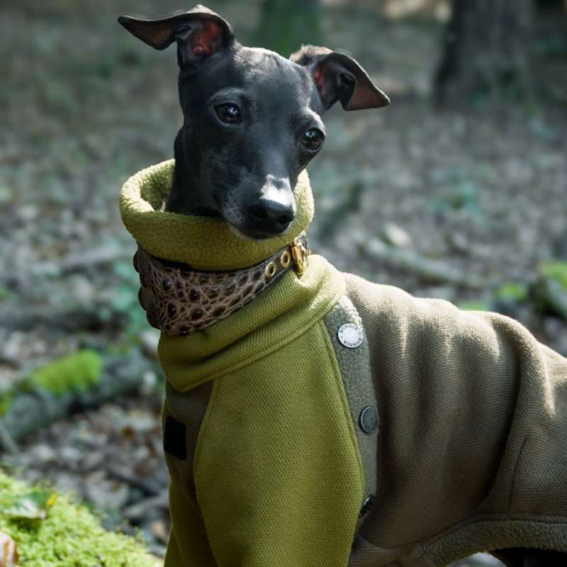 Mossy Teddy Fleece Sweater Larger Breeds (more than 20kg) / S