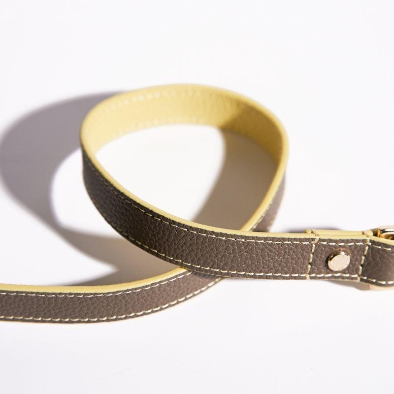 Rosy Leather Dog Leash - BONDIR