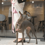 Flamingo Leather Dog Leash - BONDIR