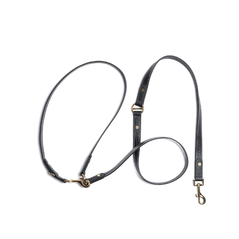 Obsidian Hands-Free Dog Leash