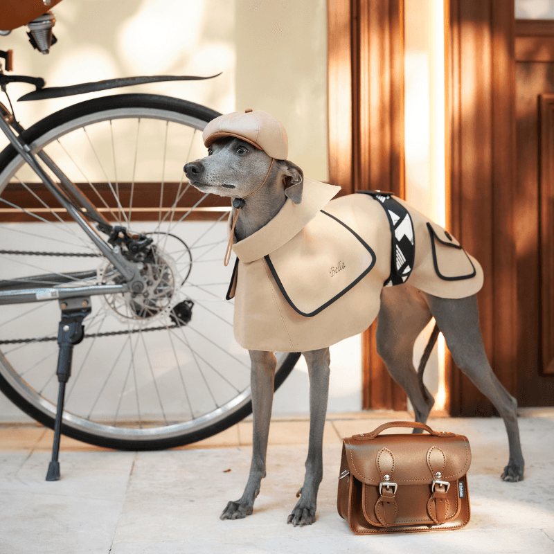 Obine Dog Newsboy Cap