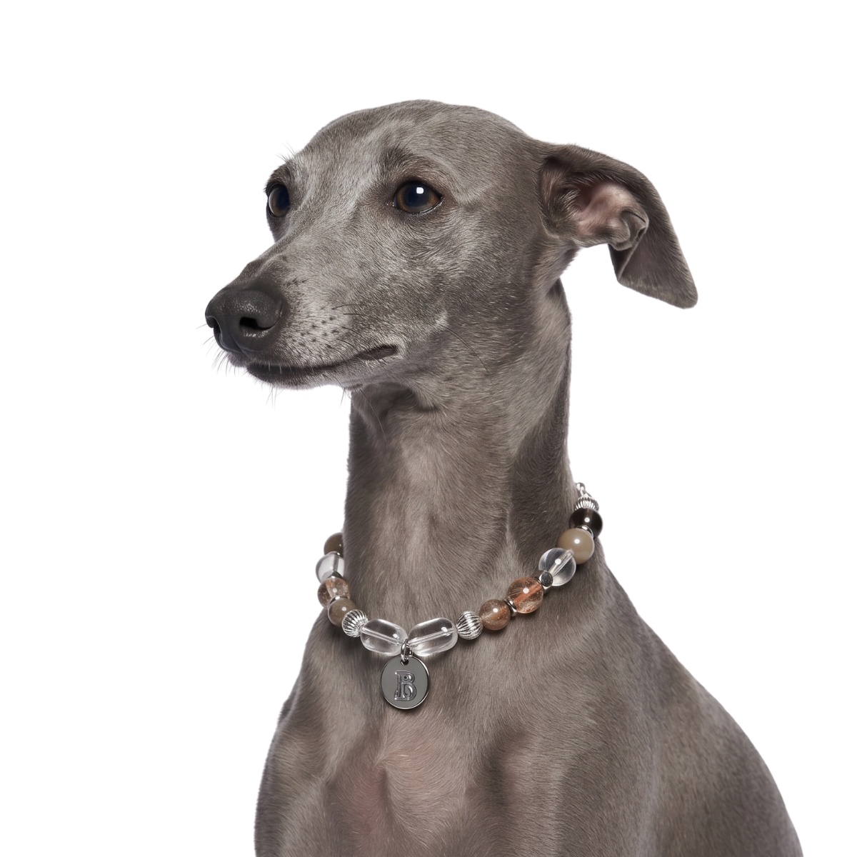 Oasis Pet Crystal Necklace