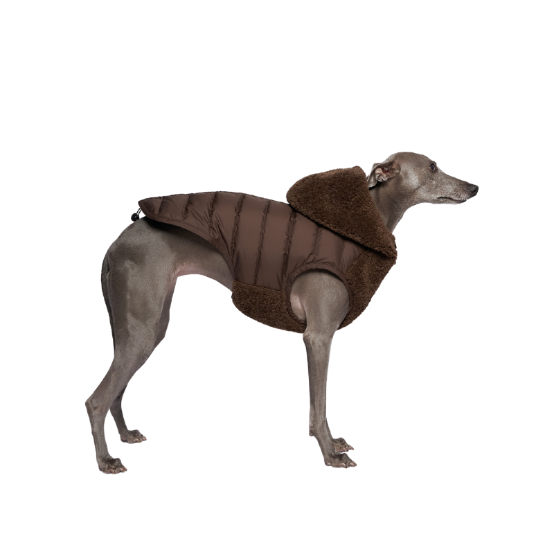 Merino Down Vest