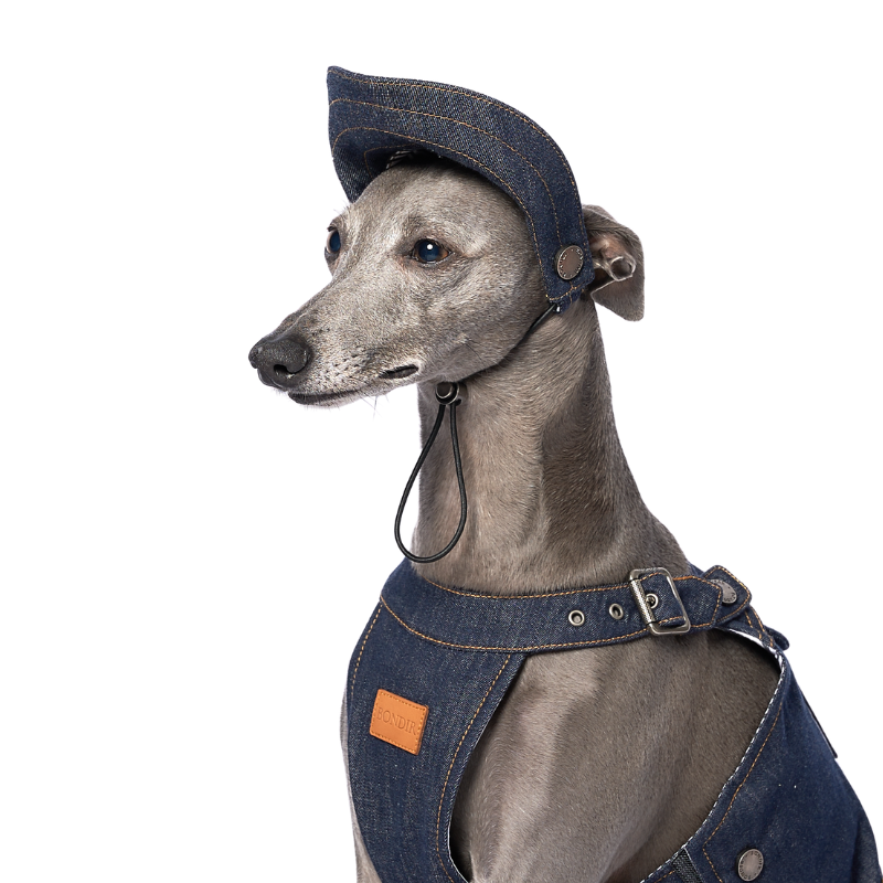 B01 Denim Dog Hat