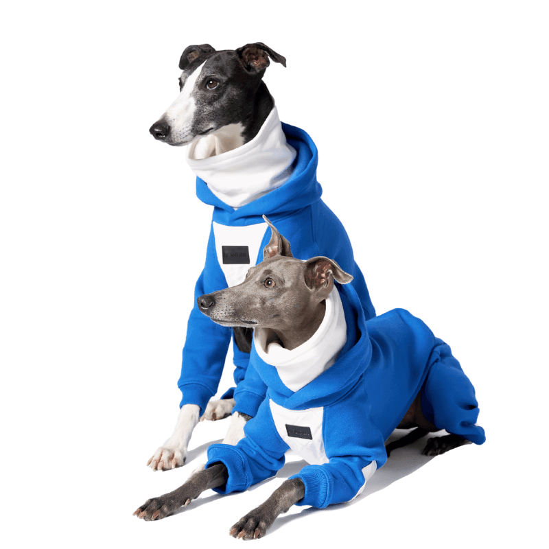 Elecrique Hooded Onesie - BONDIR