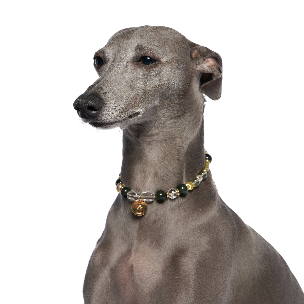 Eternis Pet Crystal Necklace
