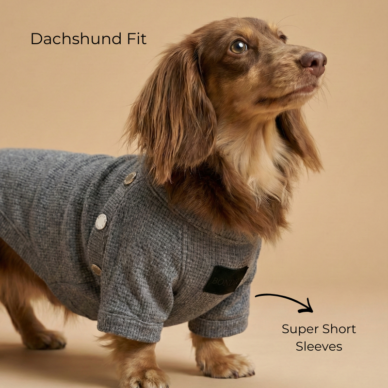 Cloudnine Wool Sweater