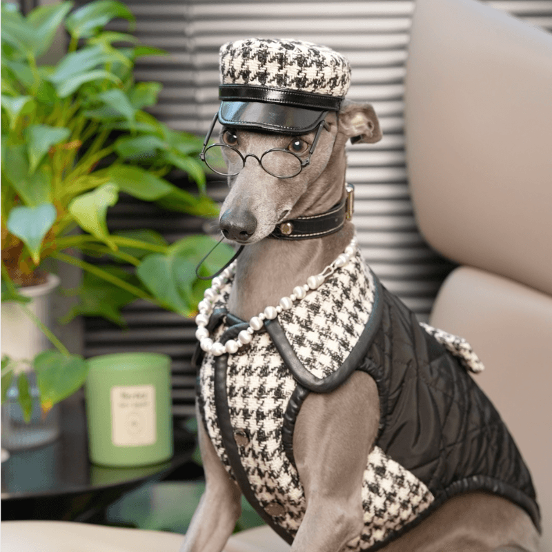 Soho Dog Hat