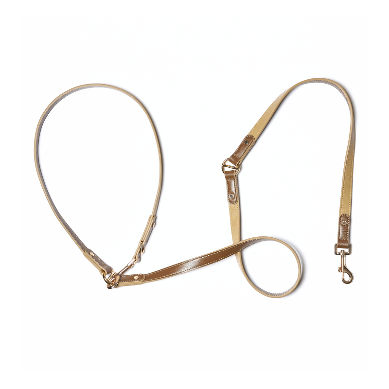 Palais Hands-Free Dog Leash