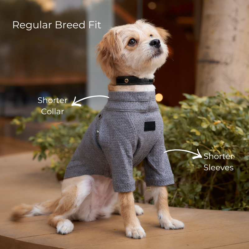 Cloudnine Wool Sweater