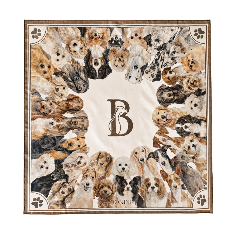 The Pawtrait Silk Scarf