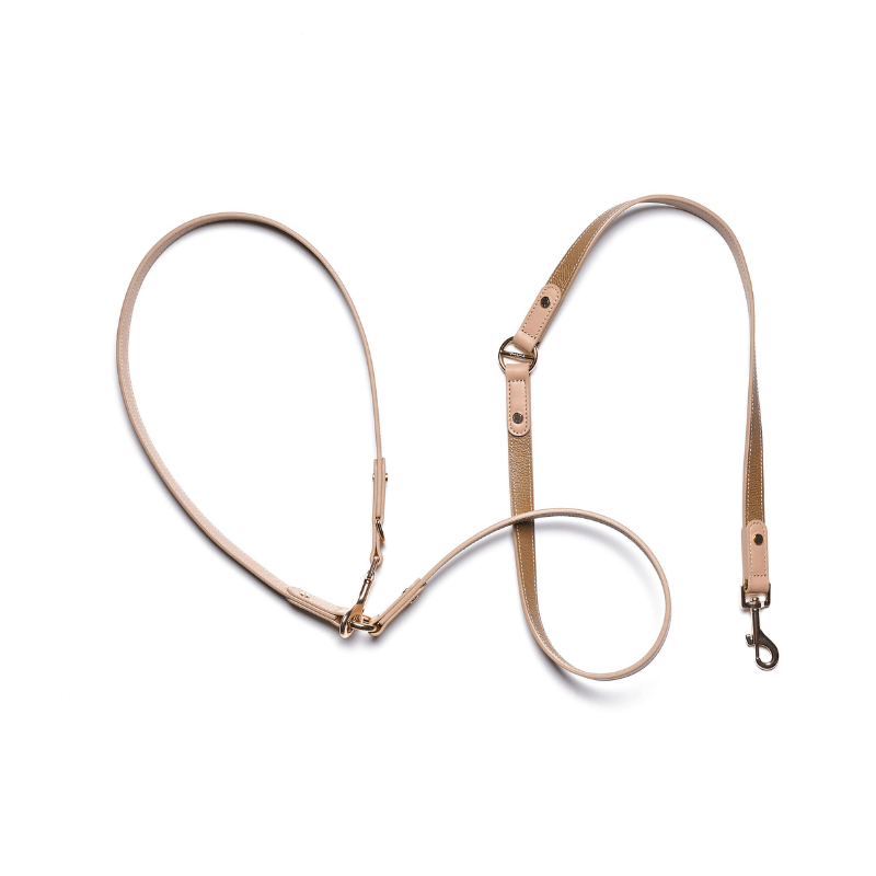 Blushwood Hands-Free Dog Leash