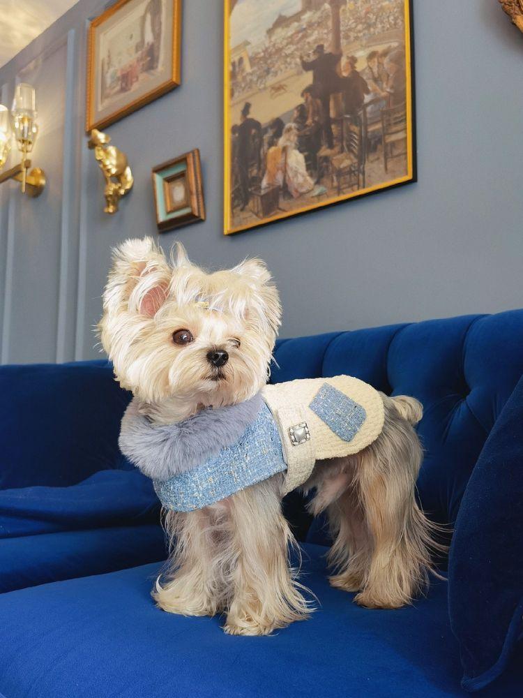Modern Cinderella Coat - BONDIR