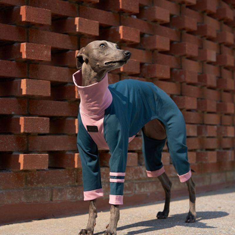 Toulouse Onesie - BONDIR