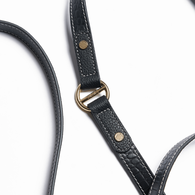 Obsidian Hands-Free Dog Leash