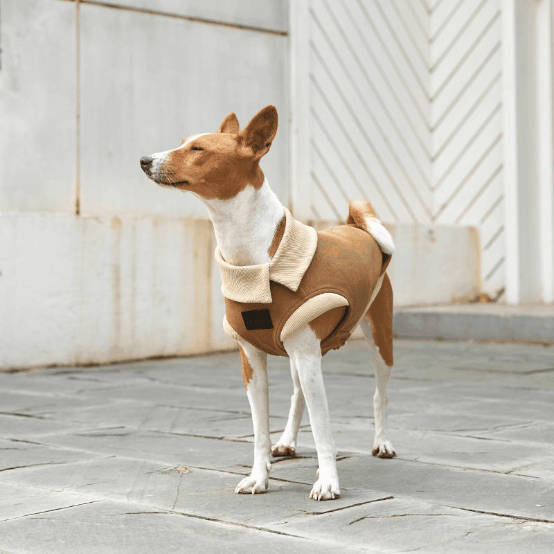 Rustique Asymmetric Collar Tank Top - BONDIR