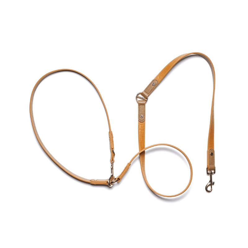 Amber Hands-Free Dog Leash
