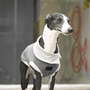 Graphite Asymmetric Collar Tank Top - BONDIR