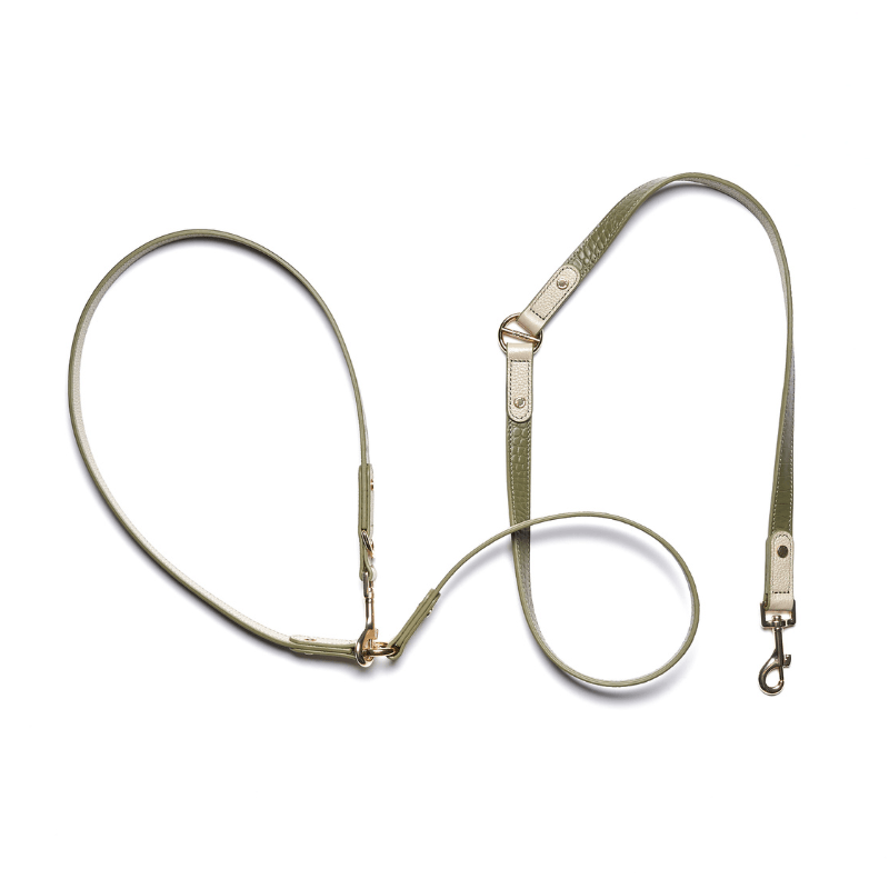 Emerald Hands-Free Dog Leash