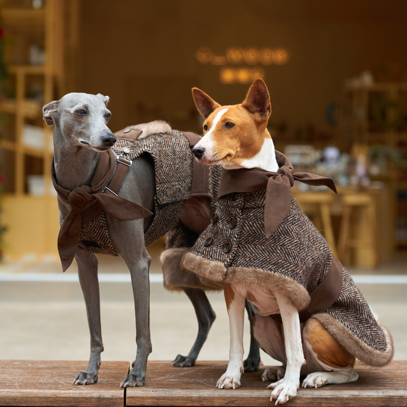 Barrow Wool Tweed Dog Overall | BONDIR