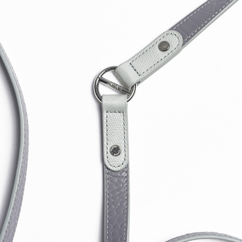 Moonstone Hands-Free Dog Leash