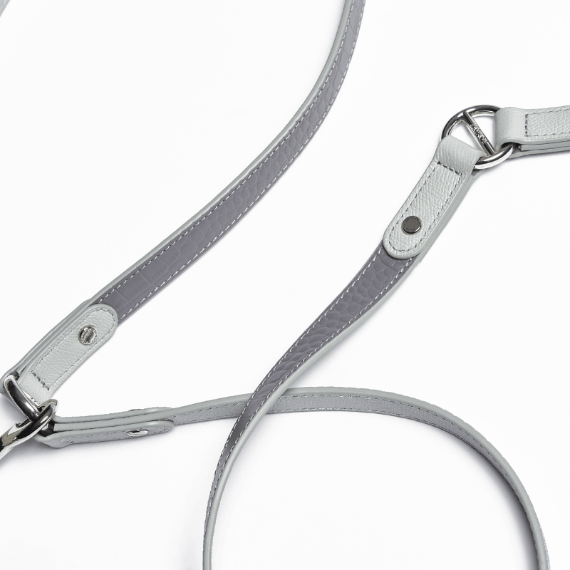 Moonstone Hands-Free Dog Leash