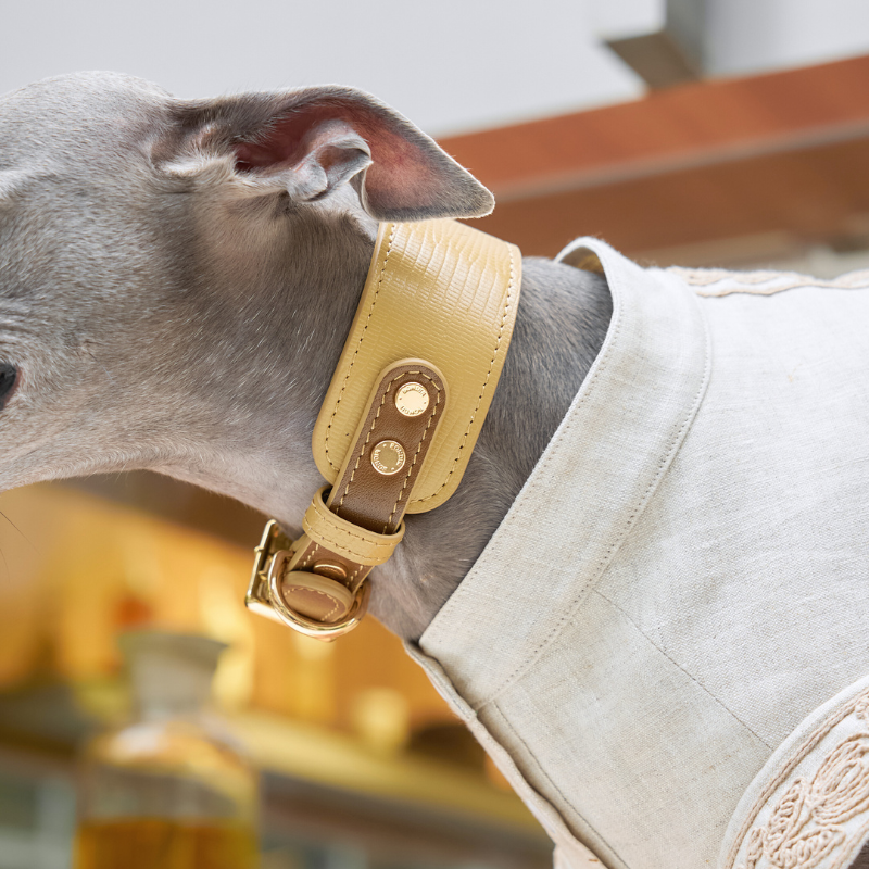 Palais Leather Collar