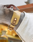 Palais Leather Collar