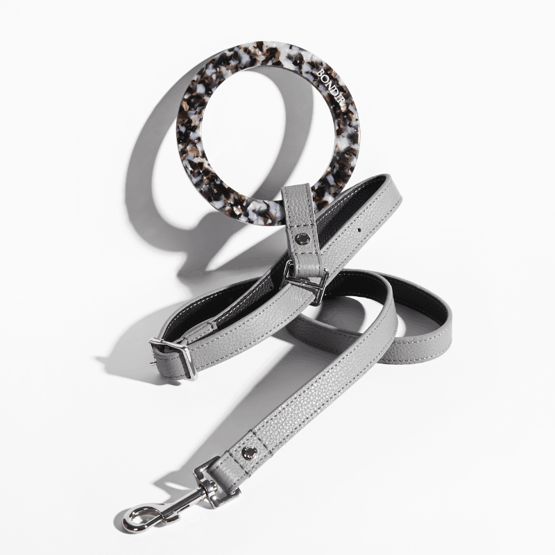 Indigo Leather Dog Leash - BONDIR