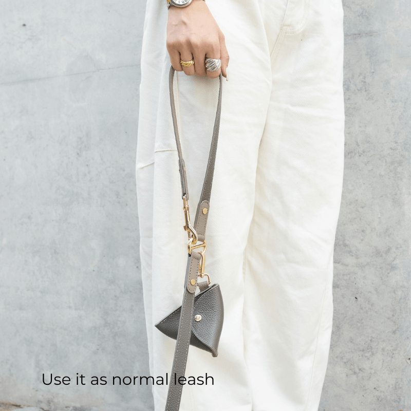Sand Hands-Free Dog Leash