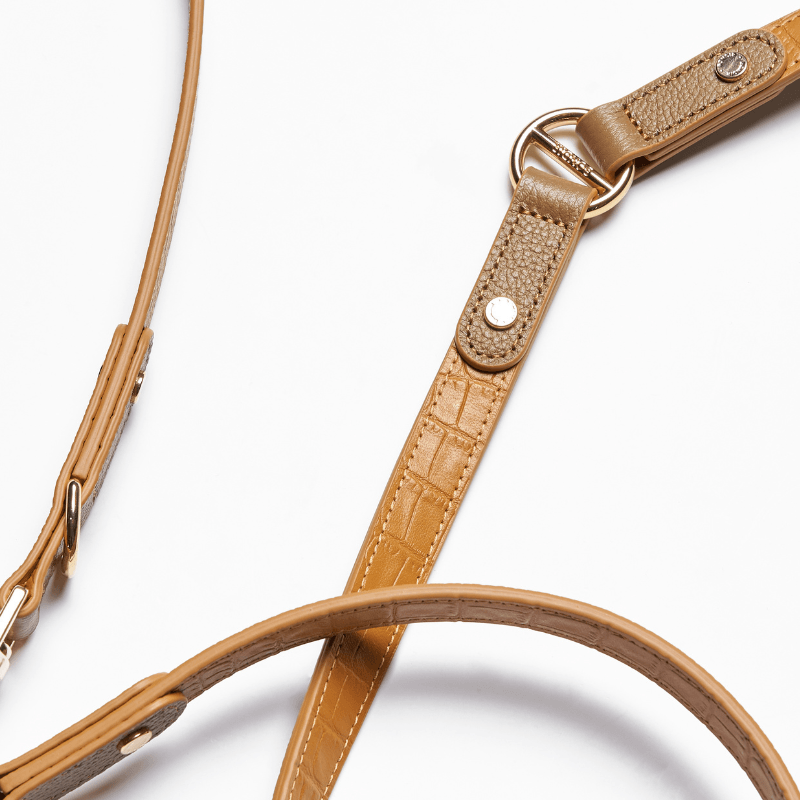 Amber Hands-Free Dog Leash