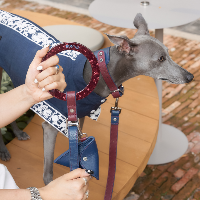 Rosette Leather Dog Leash