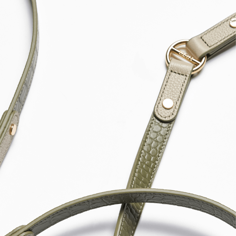 Emerald Hands-Free Dog Leash